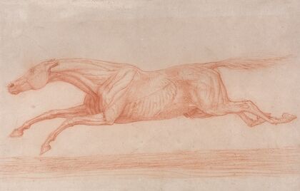 Study of a Racehorse in Action; Galloping to Left, a Semi-Anatomical Study, with Skin Flayed to Show Action of Muscles — size preview