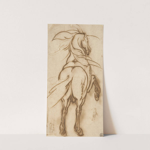 Study of a Rearing Horse (1616) by Jacques Callot