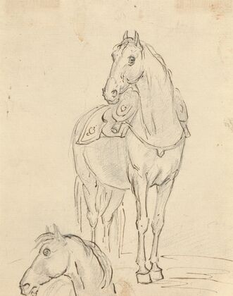 Study of a Saddled Horse and Horse’s Head