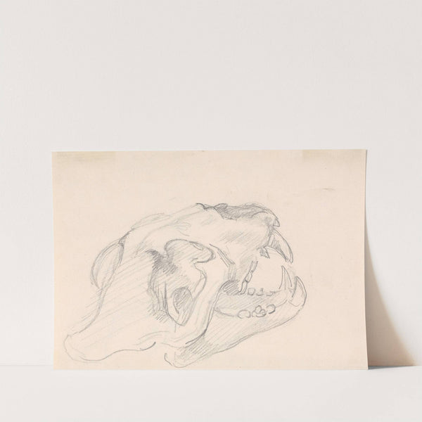 Study of a Skull by Sawrey Gilpin