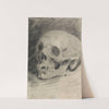 Study of a Skull by Benjamin Robert Haydon