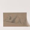 Study of a Sleeping Dog by James Ward