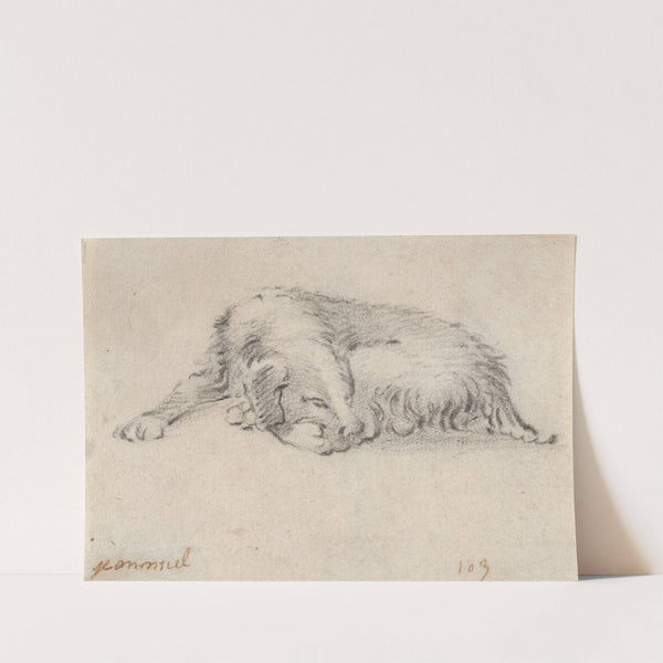 Study of a Sleeping Dog by Jan Miel