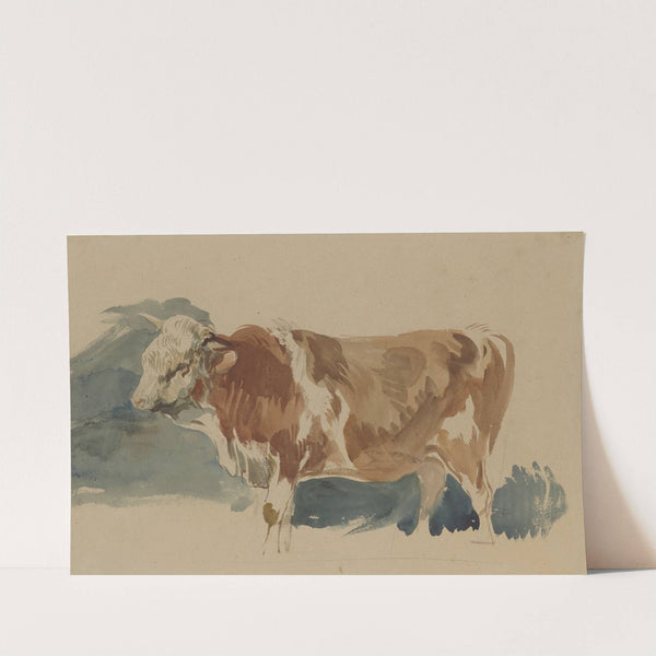 Study of a spotted ox by Piotr Michałowski