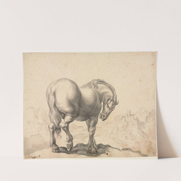 Study of a Stallion by Giovanni Battista Foggini