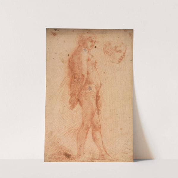 Study of a Standing Male Nude, with a Study of Head in Three-Quarter Profile by Cecco Bravo