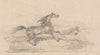 Study of a Startled Horse