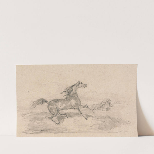Study of a Startled Horse by John Frederick Tayler