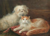 Study of a Terrier and a Cat