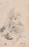 Study of a Thistle
