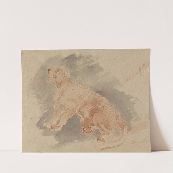 Study of a tiger by Sawrey Gilpin