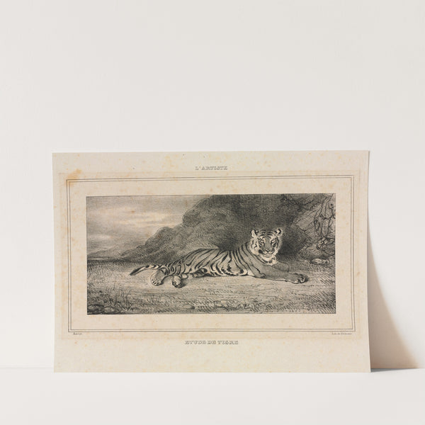 Study of a Tiger (1832) by Antoine-Louis Barye