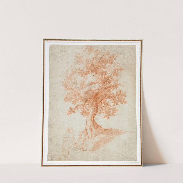 Study of a Tree by Cristofano Allori