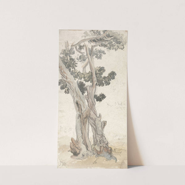 Study of a Tree by James Ward