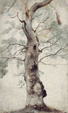 Study of a Tree