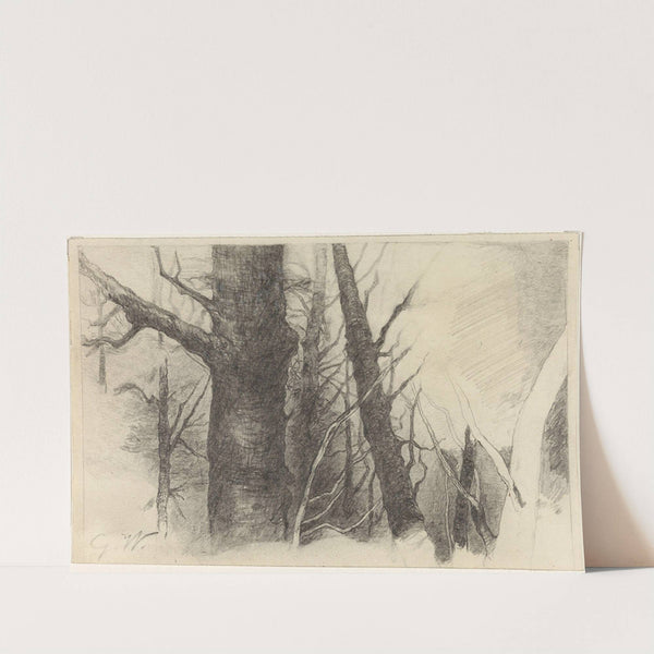 Study of a Tree by Gustav Wentzel