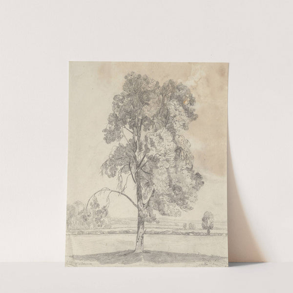 Study of a tree by John Sell Cotman