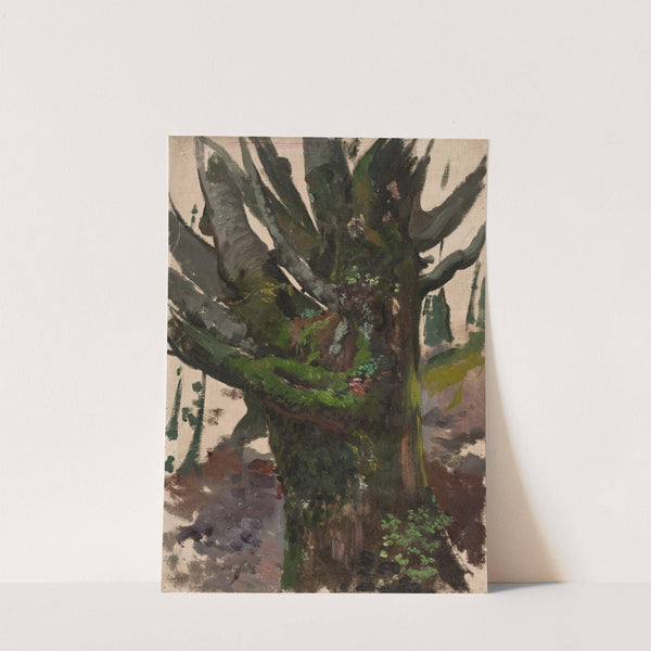 Study of a tree by Leon Wyczółkowski