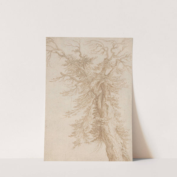 Study of a Tree by Jacob de Gheyn II