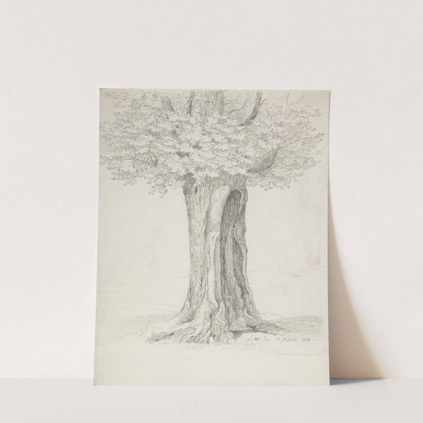 Study of a Tree by Ernst Ferdinand Oehme