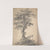 Study of a Tree by Jean-Baptiste Pillement