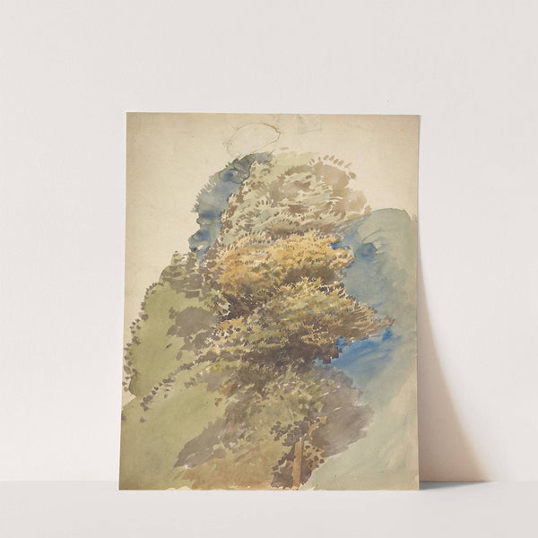 Study of a Tree by George Richmond