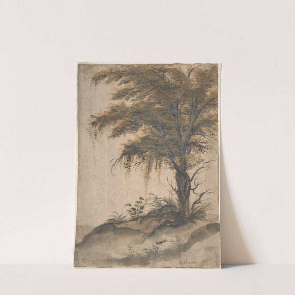 Study of a Tree by Marten Van Valckenborch