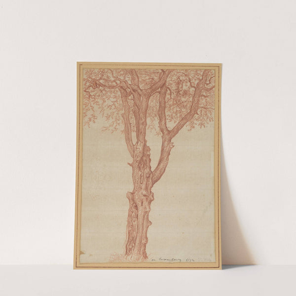 Study of a Tree in the Luxembourg Gardens by Pierre-Henri de Valenciennes