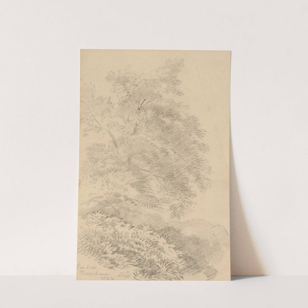 Study of a Tree on a Grassy Bank by George Richmond