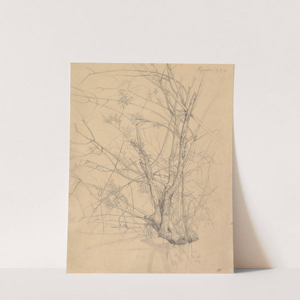 Study of a Tree Standing in Water in the Düsseldorf Hofgarten by Johann Wilhelm Preyer