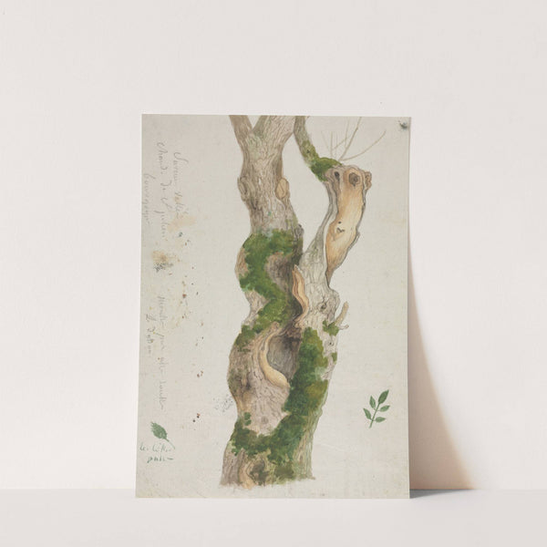 Study of a Tree Trunk (c. 1775–1843) by Georges Michel