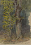 Study of a Trunk Branching Out