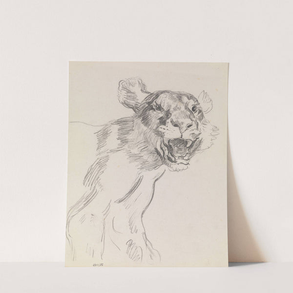 Study of a Wild Animal by James Ensor