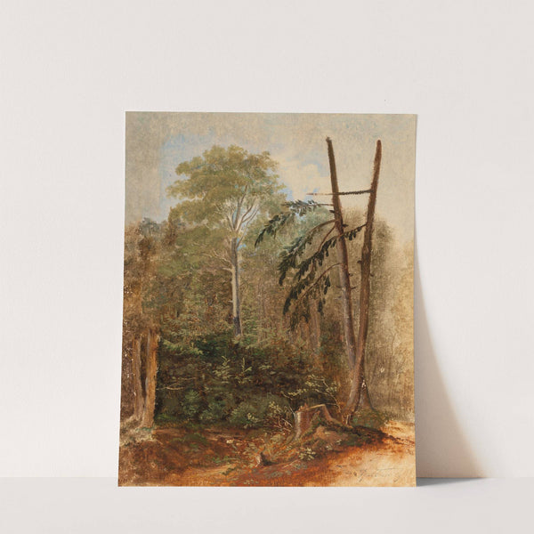 Study of a Woodland Landscape by Carl Spitzweg