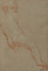 Study of a Young Boy