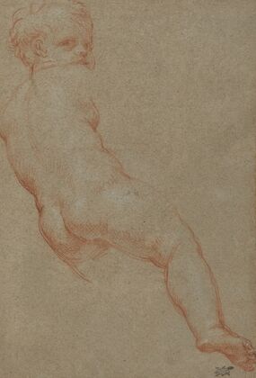 Study of a Young Boy
