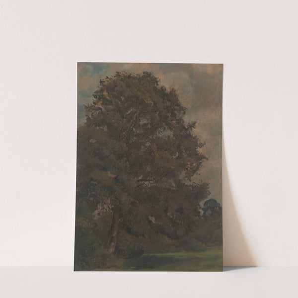 Study of an Ash Tree (ca. 1851) by Lionel Constable