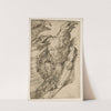 Study of an eagle (from 1575 until 80) by Bartolomeo Passarotti