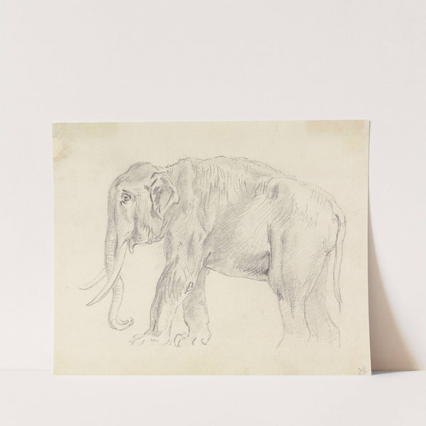 Study of an Elephant by Sawrey Gilpin