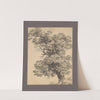 Study of an oak by Jan Krzysztof Damel