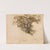 Study of an Oak (1830) by Adolph Tidemand