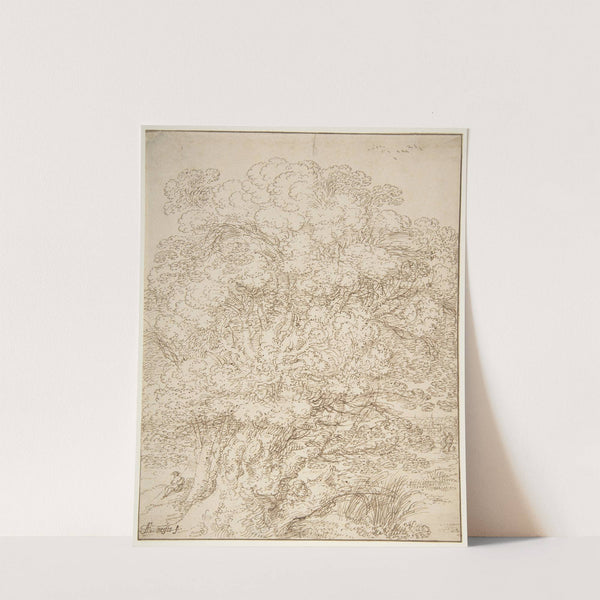 Study of an Old Tree by Gillis Neyts