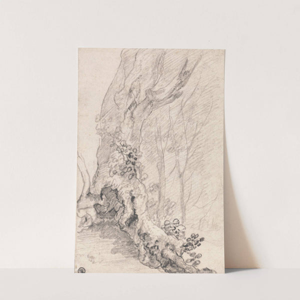 Study of an Old Tree; Trunk and Creeper-Covered Roots by Richard Wilson