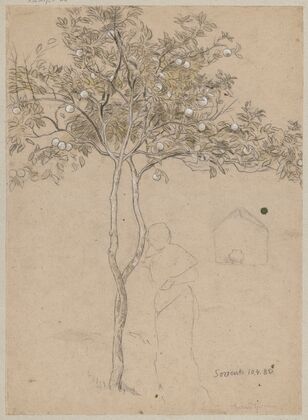 Study of an orange tree from the vicinity of Sorrento. Contour of a female (1880)