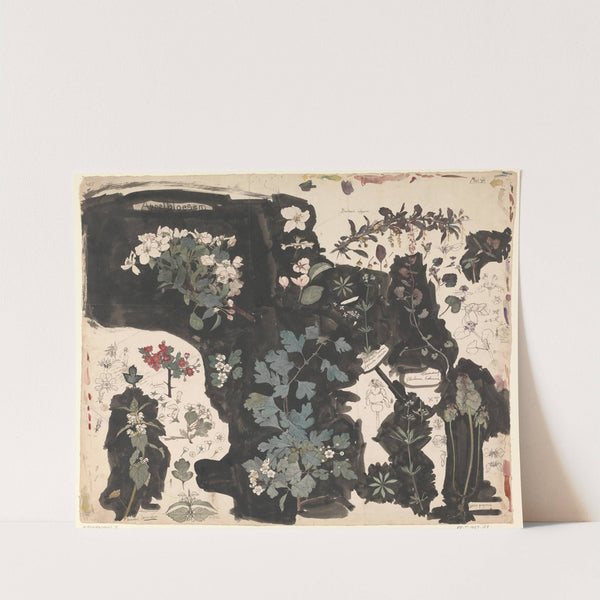 Study of Apple Blossom, Dead Nettle, Mayflower, and Ground Ivy by Theo Nieuwenhuis
