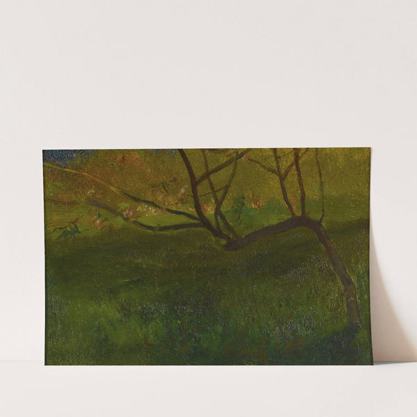 Study Of Apple Tree. Spring by John La Farge