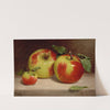 Study of Apples from Nature (1863) by William Rickarby Miller