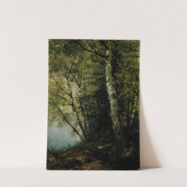 Study of Beeches (1872) by John Frederick Kensett