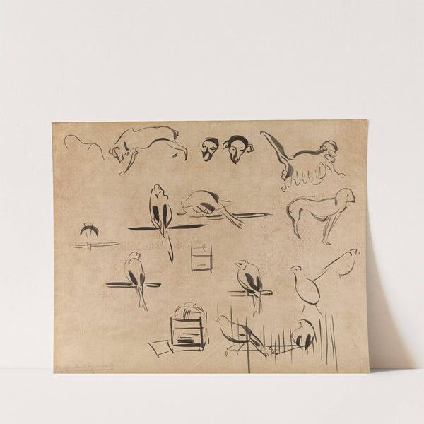 Study of Birds by Rik Wouters