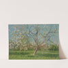 Study of Blooming Trees in an Orchard (1900–1910) by Ladislav Mednyánszky